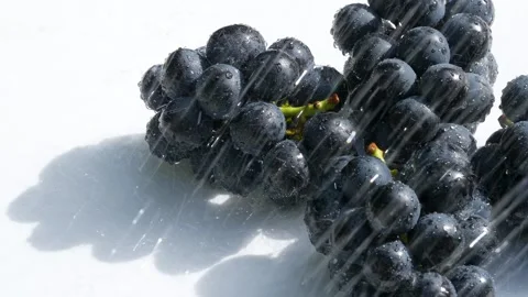 4K slow motion video of large grapes being washed in the shower. Stock Footage 241546141