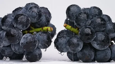 4K slow motion video of large grapes being washed in the shower. Stock Footage 241546265