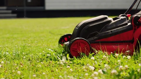 4K Slow motion video of a red electric lawn mower cutting green grass. Close Vidéo 341958412