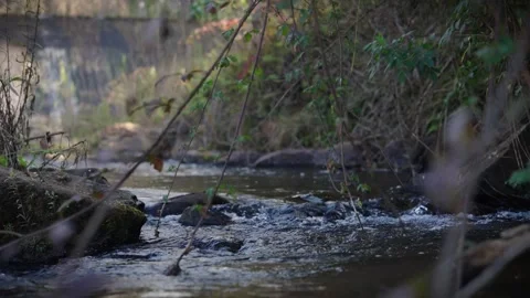 A 4K Slow Motion video of a tranquil cascading water fall and a flowing river Stock Footage 278807832