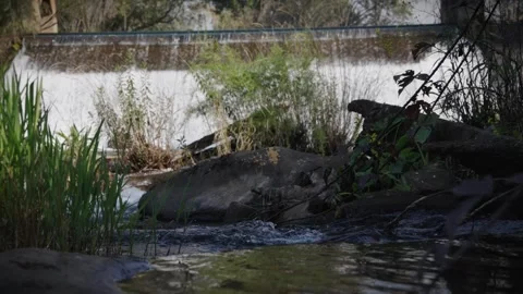 A 4K Slow Motion video of a tranquil cascading water fall and a flowing river Stock Footage 278807989