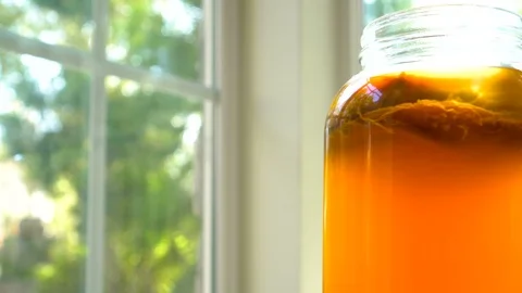 4K slow pan of kombucha tea scoby in a glass jar Vidéo 92283783