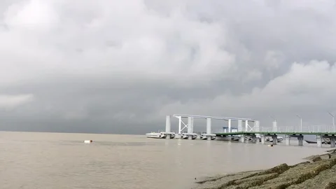 4K Slow Pan Riverside Jetty with Palm Tree Under Cloudy Sky Stock Footage 338190751