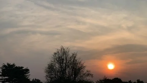 4K Slow Pan of Warm Sunset Sky with Glowing Clouds and Tree Silhouettes Stock Footage 340549252