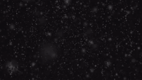 4K Slow Snow Falling Stock Footage 210112873
