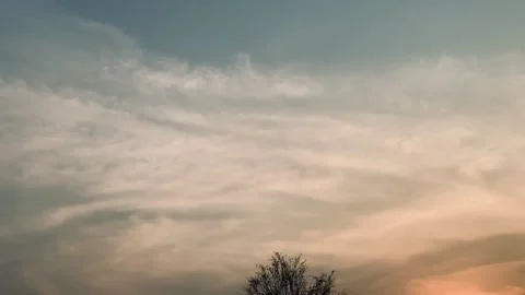4K Slow Tilt Down from Dramatic Sunset Sky to Tree Silhouettes Stock Footage 340549249