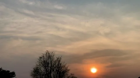 4K Slow Tilt Up from Tree Silhouettes to Golden Sunset Clouds Stock Footage 340549251