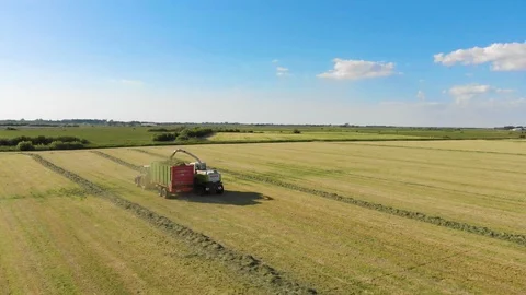 [4K] Slow Tracking-Shot of a tractor collecting grass from field | Aerial Shot Stock Footage 94296576