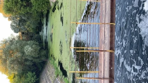 4k Small bridge across small river between trees with a lot of duckweed. Stock Footage 160548224