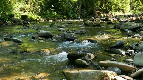4K. Small mountain  river  with stones in sunny day. Landscape Stock-Footage 79474177
