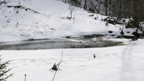 4K. A small mountain stream in the winter. Winter Mountain Stream. Stock-Footage 211711990