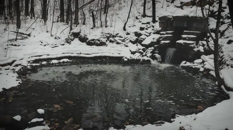  4k - small pond in winter Stock Footage 60061134