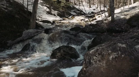 4k - Small river with trees Stock Footage 49066742