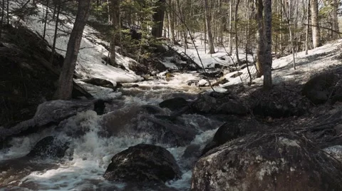 4k - Small river with trees Stock Footage 49066748