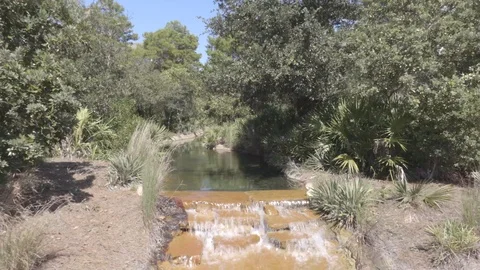 4K Small Stream and Waterfall Surrounded By Trees Vidéo 123087041