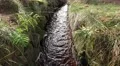 4k Small stream with red ferruginous water of low mountain range Harz 4k or 4k+ Resolution