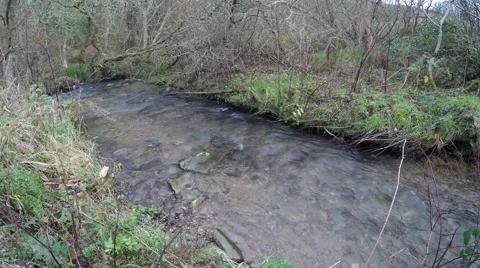4K small stream with running water is filmed on a clouded day Stock Footage 45762376