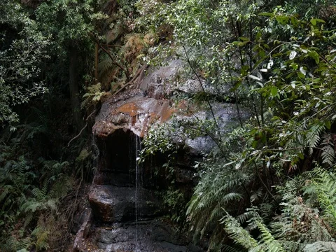 4k Small water fall in a junle in Australia Stock Footage 83453578