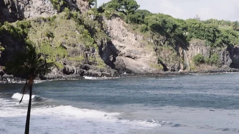 4K: Small Waves Breaking in a Cove with Lone Palm Tree and Water Fall Stock Footage 72968809