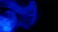 4K Smoke In Color 40 Blue UHD 4k or 4k+ Resolution