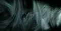 4K Smoke Spotlight 13 4k or 4k+ Resolution