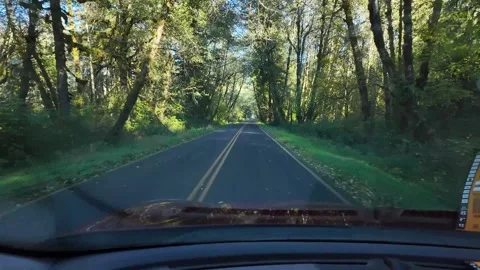 4K smooth footage of driving through a forest road in Olympic National Park, USA Video stock 319640889