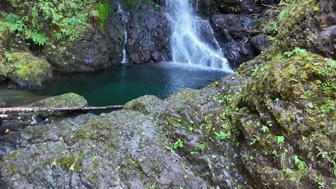 4K smooth footage of a waterfall cascade in Olympic National Forest, WA, USA Video stock 319640349