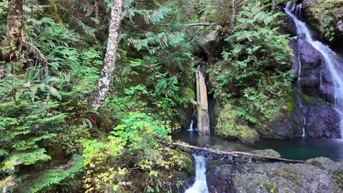4K smooth footage of a waterfall cascade in Olympic National Forest, WA, USA Video stock 319640369