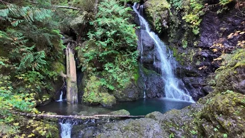 4K smooth footage of a waterfall cascade in Olympic National Forest, WA, USA Video stock 319640404