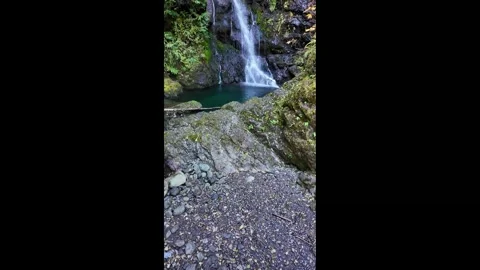 4K smooth footage of a waterfall cascade in Olympic National Forest, WA, USA Video stock 319640415