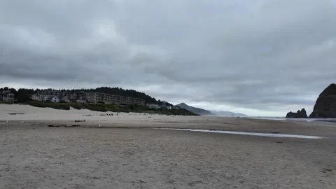 4K smooth stabilized footage of almost empty Cannon Beach in Oregon, USA Stock Footage 339422303