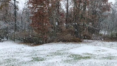 4K Snow Fall Video Stock Footage 98425149