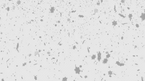 4K Snow falling with alpha channel 库存影片 229952746