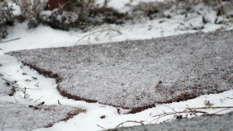 4K Snow Flakes Slowly Falling Onto Red Stepping Stone in Colorado Stock Footage 106389079