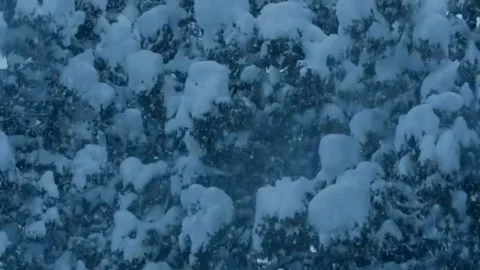 4K snowfall slow motion atmosphere Stock Footage 305955276