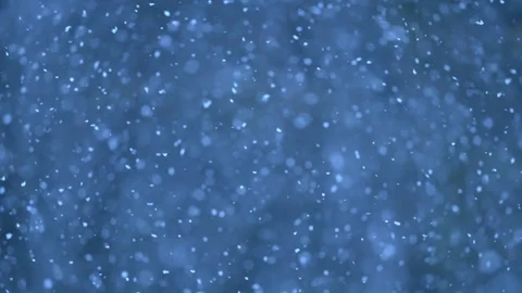 4K snowflakes falling gracefully, capturing the essence of winter joy and Stock Footage 295371606