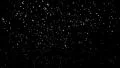 4K Snowflakes LM07 Loop Falling Snow Animation 4k or 4k+ Resolution