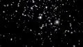 4K Snowflakes LM09 Loop Falling Snow Animation 4k or 4k+ Resolution
