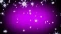 4K Snowflakes Purple LM05 Loop Animation 60 seconds 4k or 4k+ Resolution