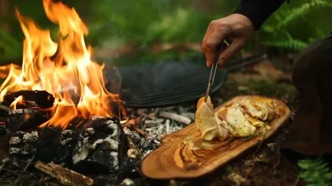 4K sort of forest camping and cooking chicken video. Video stock 208838800