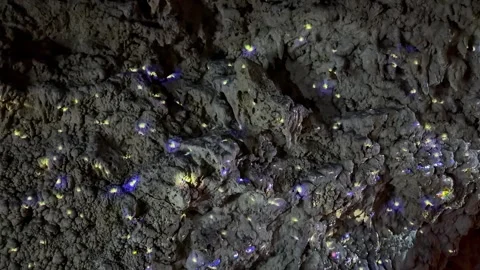 4K Sparkling Light Effects Across Limestone Cave Wall at Cave Okinawa, Japan Stock Footage 345371465