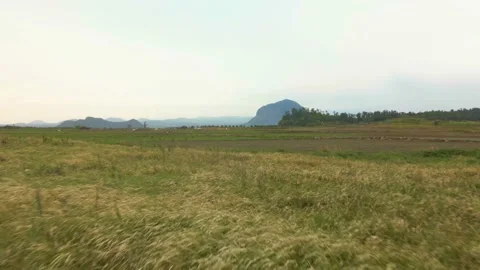 4K Speedy Low Flight View over Fields to Sanbangsan (산방산), Jeju Volcanic Island Stock Footage 143864476
