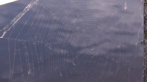 4K Spiderweb with water in the background Stock Footage 39222383