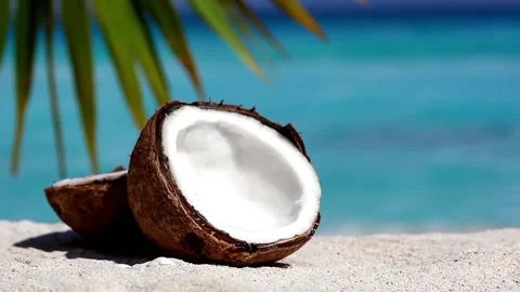 4K Split Coconut Tropical Sand Beach White Endosperm Shell Stock Footage 339275061