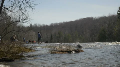 4K - Spring river with trees Video stock 62332603