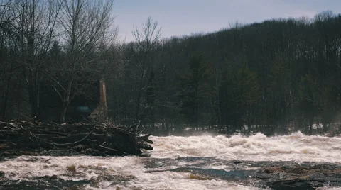 4K - Spring river with trees Stock Footage 62332753