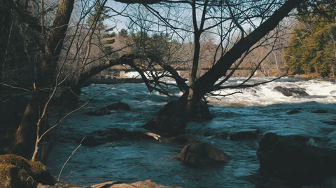 4K - Spring river with trees Video stock 62333124