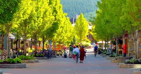 4K Spring Time Trees in Whistler Village, Early Morning Shopping Stock Footage 51962821