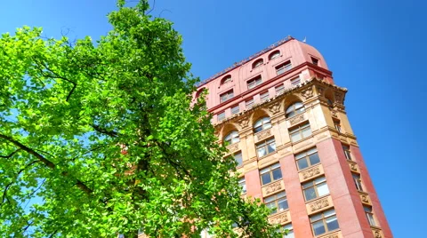 4K Spring Tree Urban Park, City Building, Green and Blue Skyline Landscape Video stock 66457221