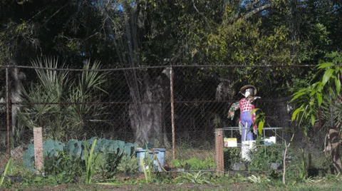 4K Sprinkler Timelapse 스톡 동영상 47652106